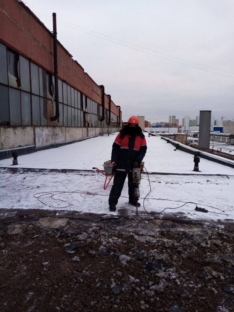 ���� 22449481 ������� ����������, 34 ����, ���� ���������� � �����