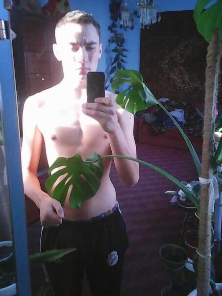  ,   , 27 ,  