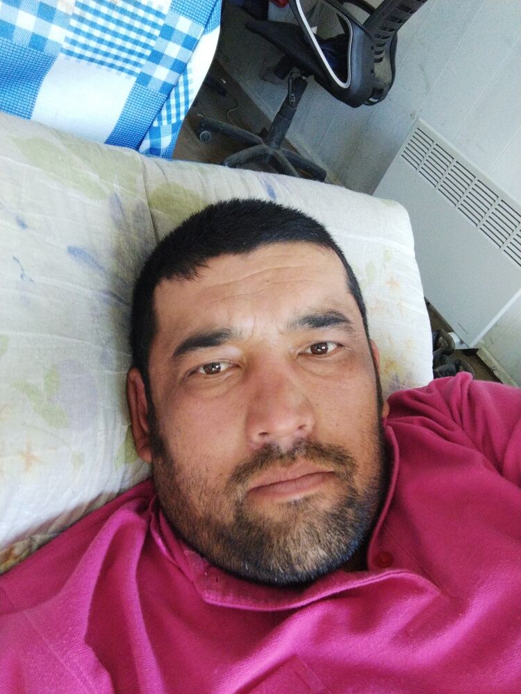  29133651  , 40 ,    