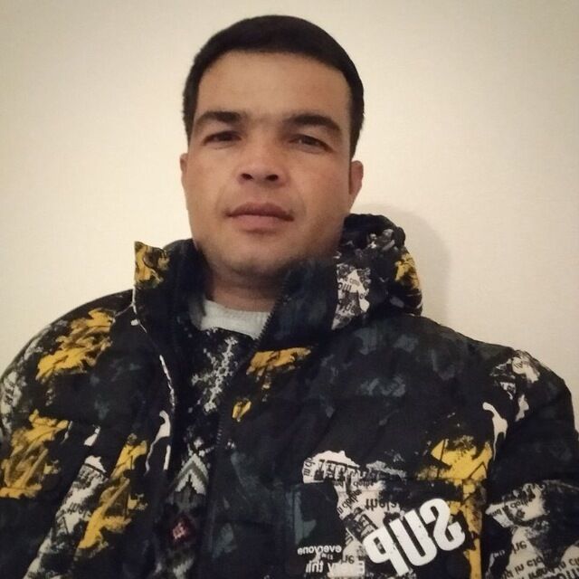  31937761  , 38 ,    
