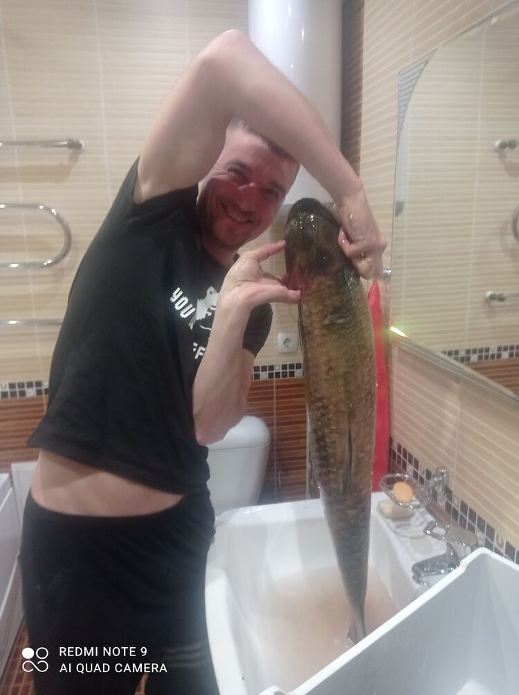 ���������� �����������, ���� ������� ����, 40 ���, ������������ ��� ������, ����� � ���������