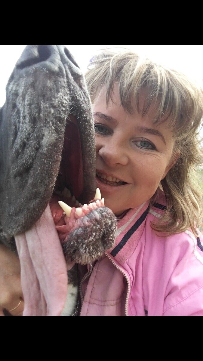 ���� 22524641 ������� �������, 58 ���, ���� ���������� � ����������