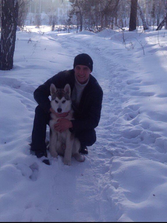 ���� 55270541 ������� ������, 35 ���, ���� ���������� � ��������