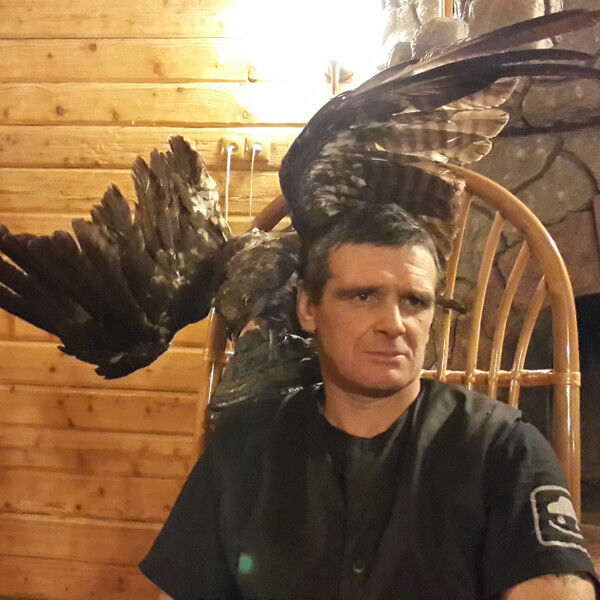 ���������� �����-���������, ���� ������� ���������, 50 ���, ������������ ��� ������, ����� � ���������, c�������� ���������