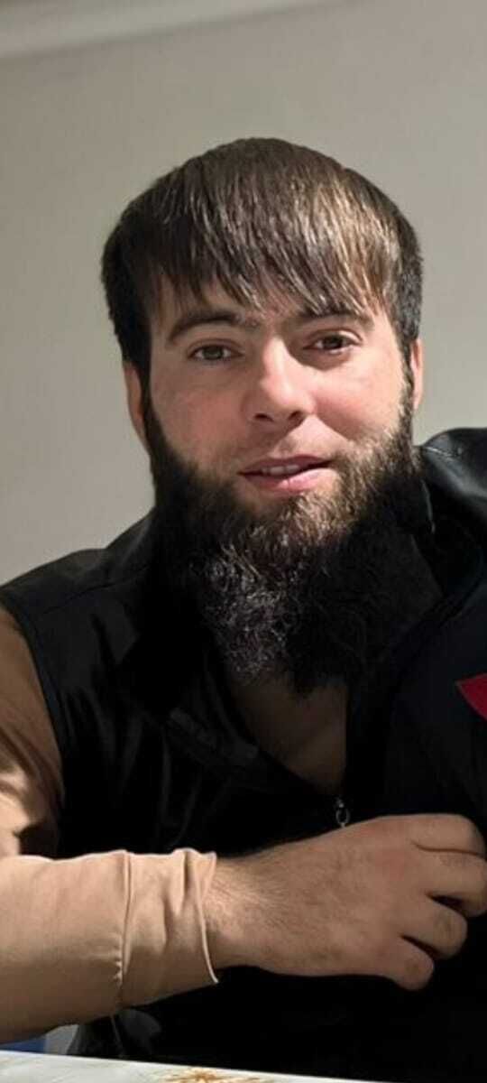  31826721   lion, 29 ,    