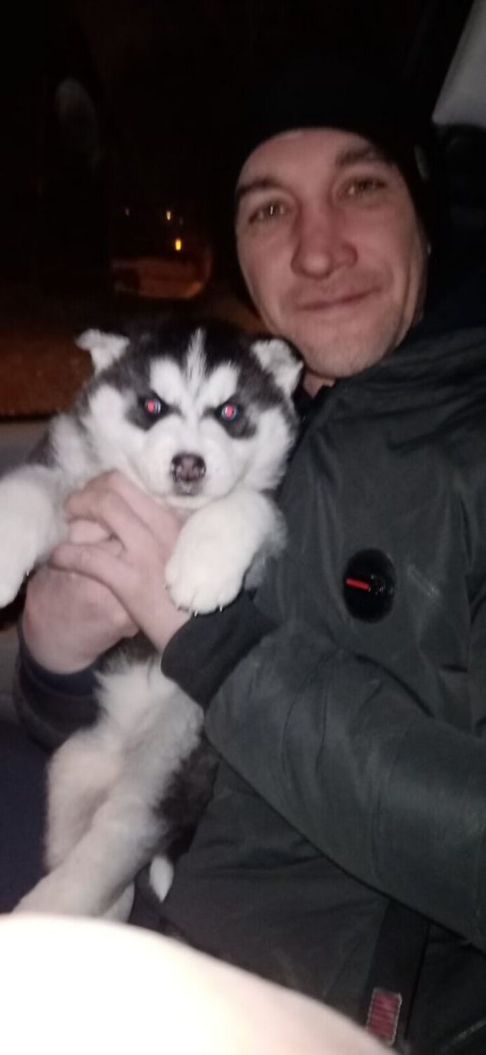 ���������� ������, ���� ������� ILGIZ, 43 ����, ������������ ��� ������, ����� � ���������, c�������� ���������, ���������