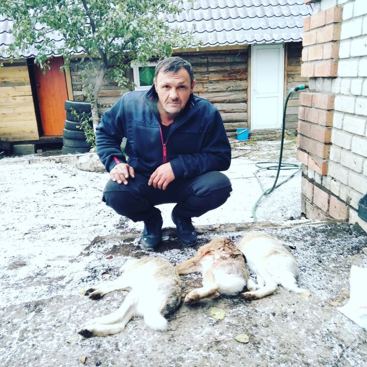  42387361  , 49 ,    