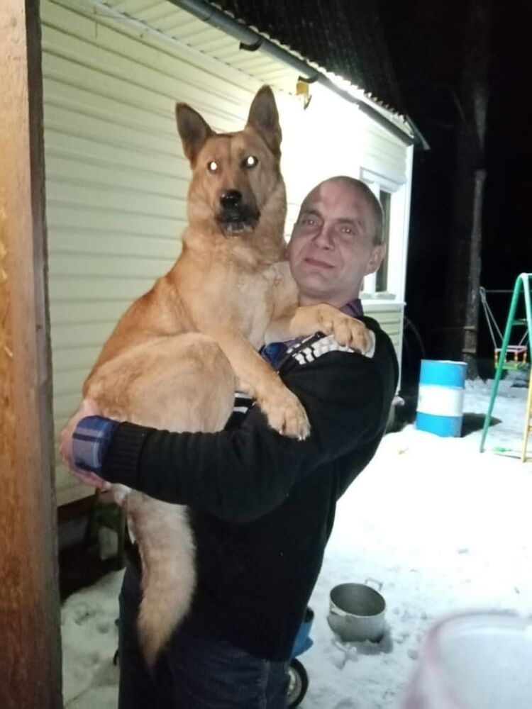 ���� 33075051 ������� ����, 51 ���, ���� ���������� � �����-����������