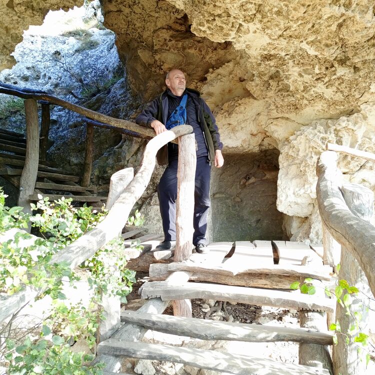 ���� 55185991 ������� �����, 58 ���, ���� ���������� � �����������