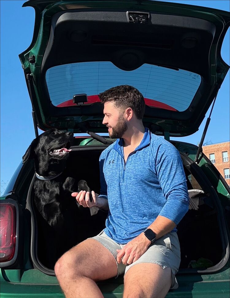 ���� 54315951 ������� ������, 38 ���, ���� ���������� � �������