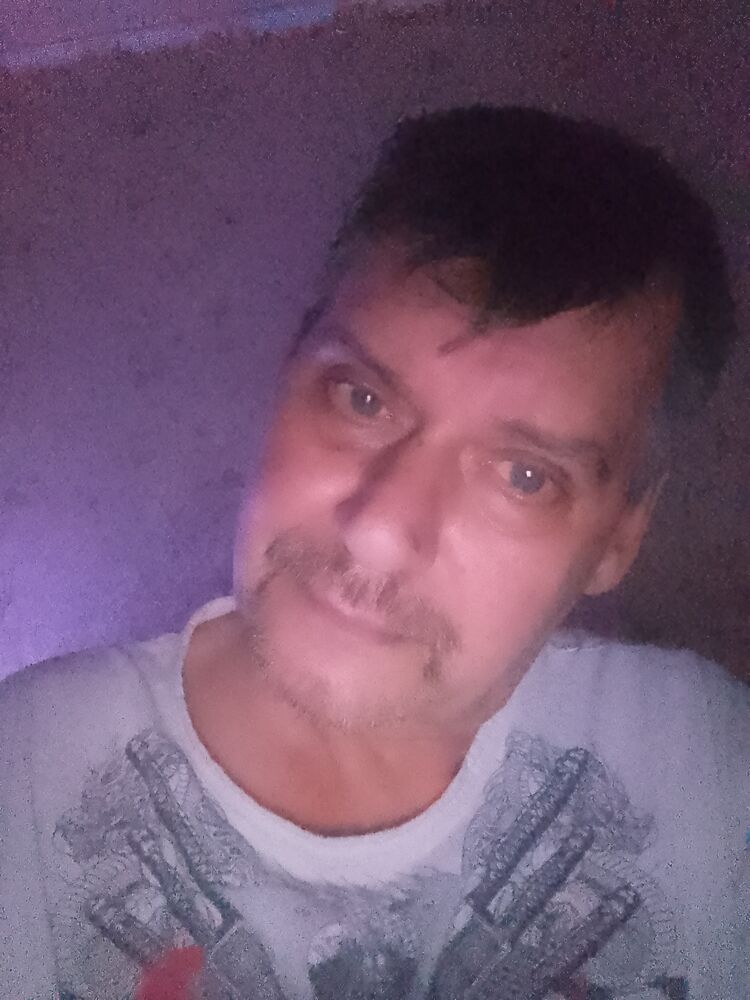  53965501  , 55 ,    