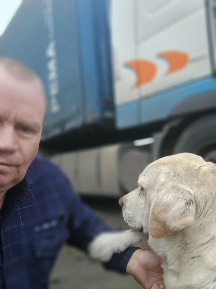 ���� 54972911 ������� ��� � �����, 45 ���, ���� ���������� � ��������