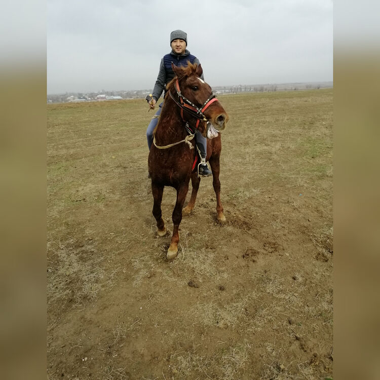 ���� 27729681 ������� �����, 37 ���, ���� ���������� � ��������