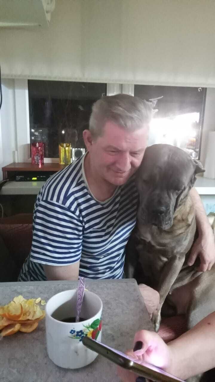  -,   , 52 ,   ,   