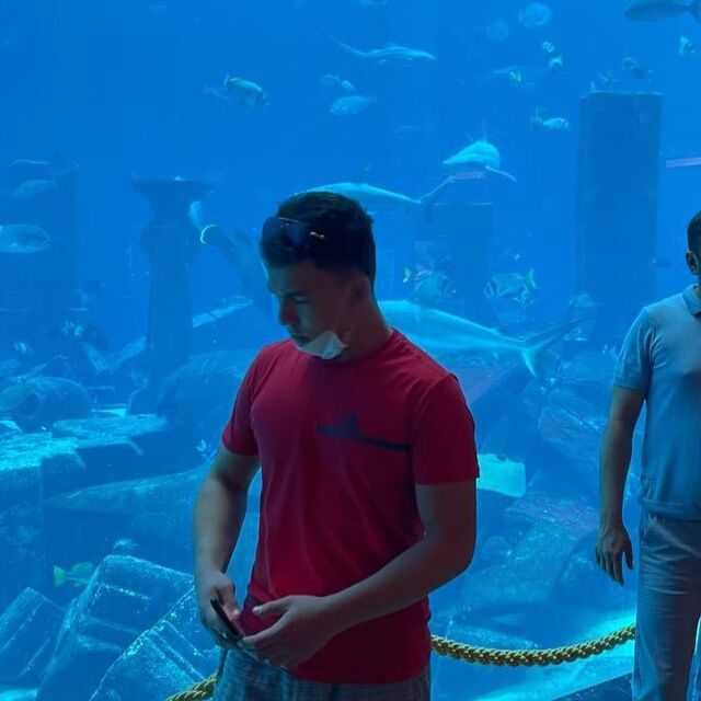 ���������� �������, ���� ������� ������, 26 ���, ������������ ��� ������, ����� � ���������