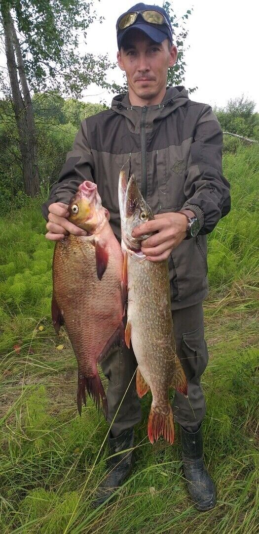 ���� 25467471 ������� �����, 34 ����, ���� ���������� � ������