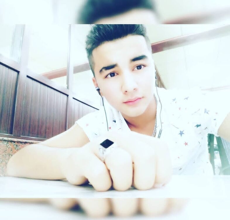  53018671  , 24 ,    
