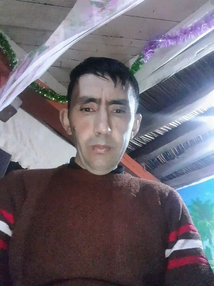  45931741  , 44 ,    