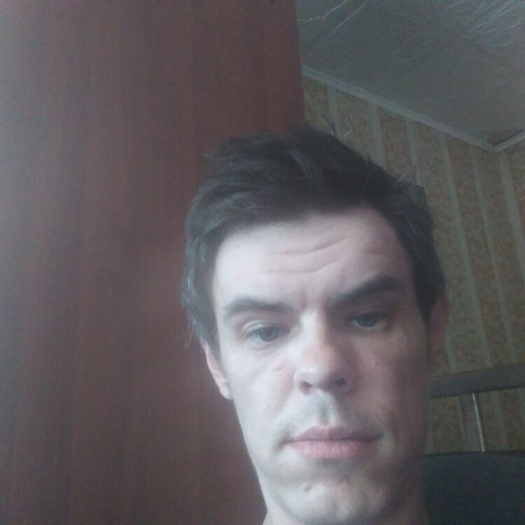  44565611  , 33 ,    