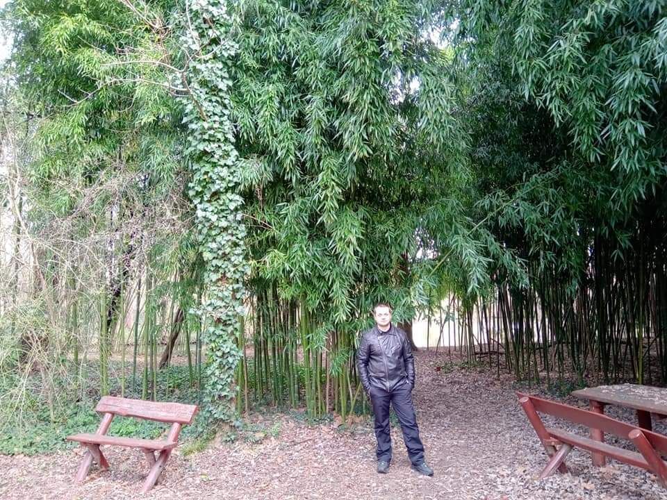  ,   , 36 ,     , c 
