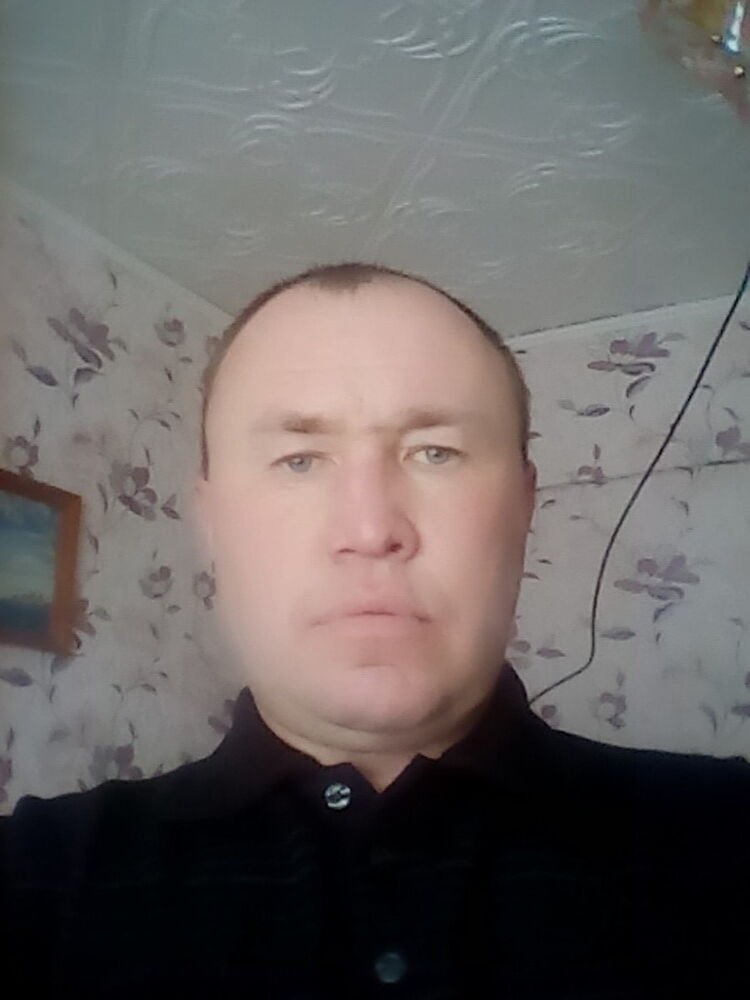  15751681  , 46 ,    