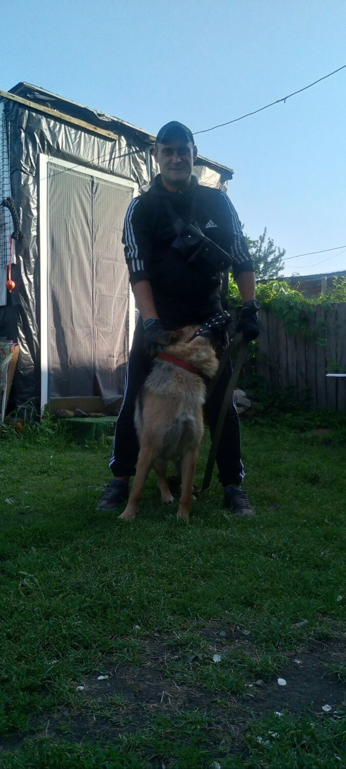 ���� 56078021 ������� �������, 39 ���, ���� ���������� � ����������