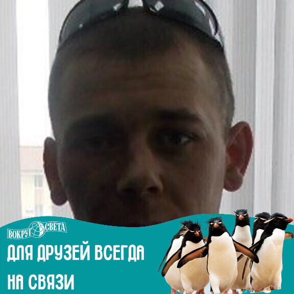  39157401  , 43 ,    
