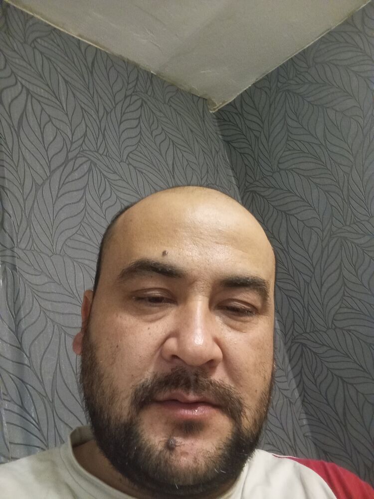  48693811  , 36 ,    