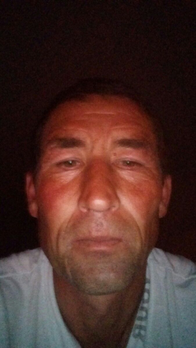  17350231  Vova, 46 ,    