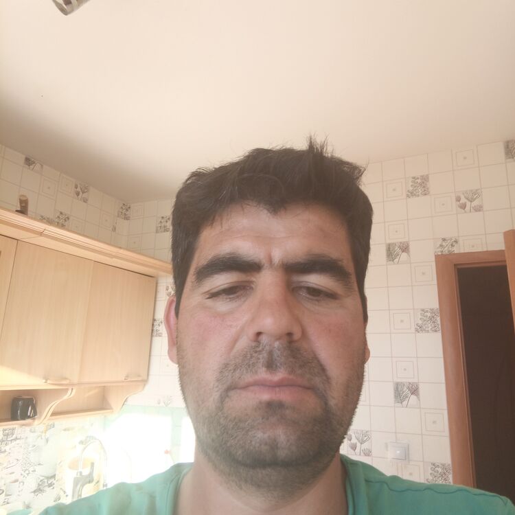  46034901  , 34 ,    -