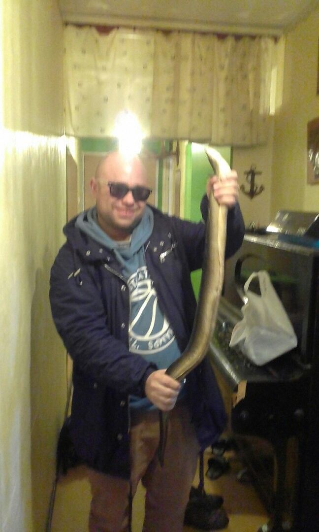 ���� 10670351 ������� ����, 41 ���, ���� ���������� � �������