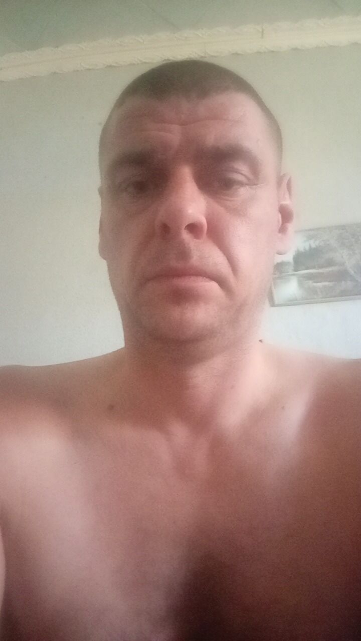  46500831  , 43 ,    