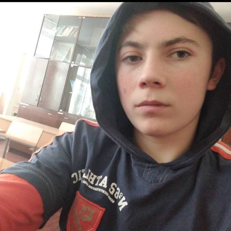  43431791  , 20 ,    