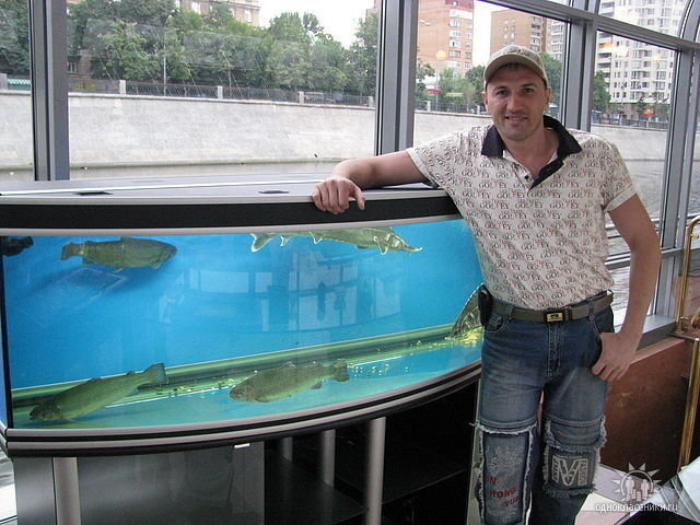  ,   , 49 ,   ,   , c , 