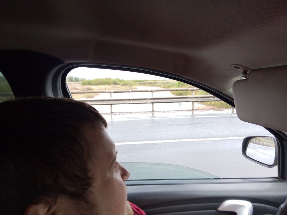 ���� 51850301 ������� ����, 33 ����, ���� ���������� � �����