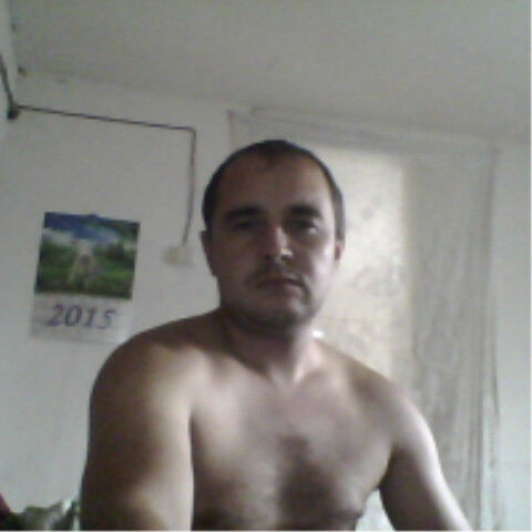  6871511  , 43 ,    