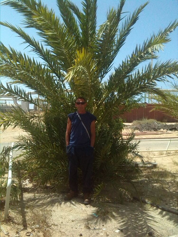 ���������� ������, ���� ������� Emilaliti, 65 ���, ������������ ��� ������, ����� � ���������, c�������� ���������