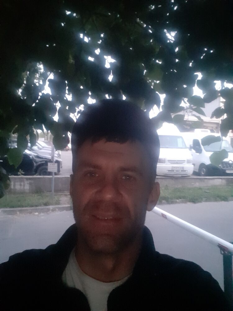  43938041  , 38 ,    