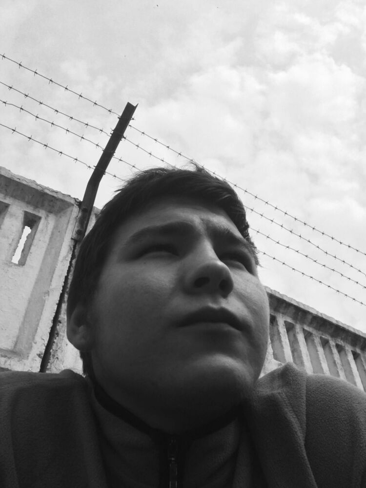  50744691  , 20 ,    -