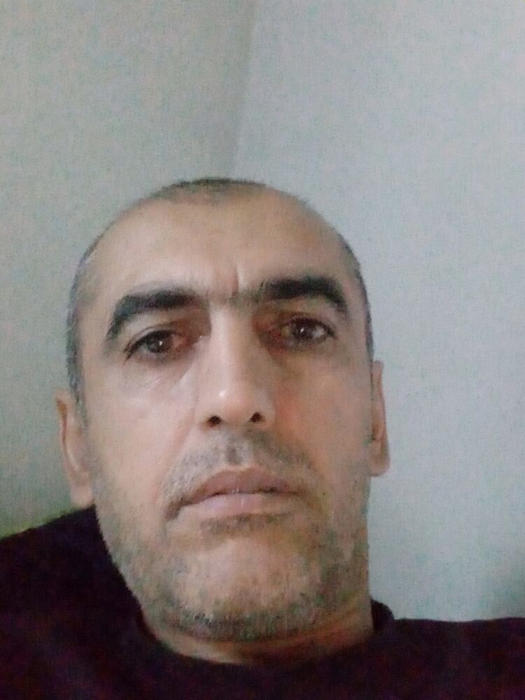  43159911  , 44 ,    