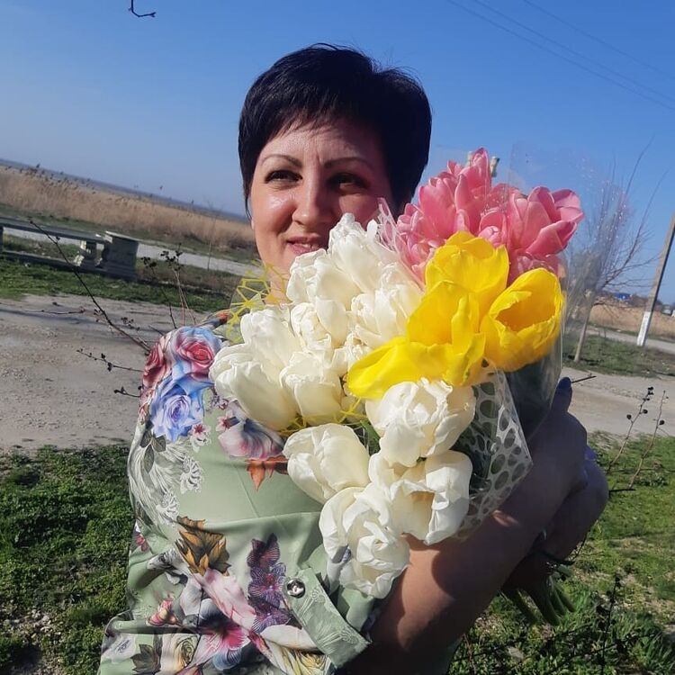  24596461  , 50 ,     