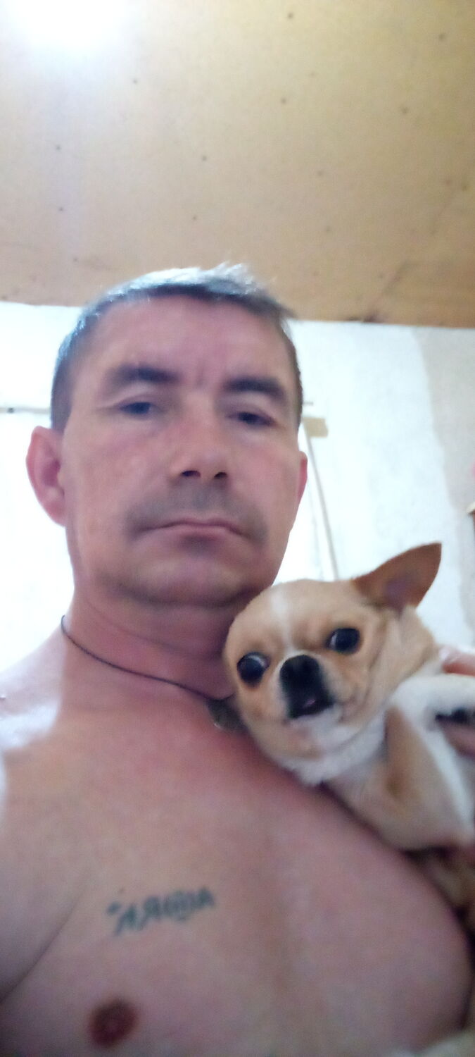 ���������� ����������, ���� ������� �����, 46 ���, ������������ ��� c�������� ���������