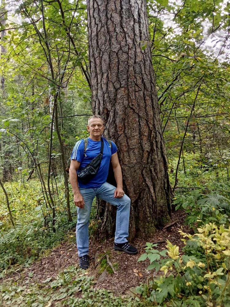 ���� 55772721 ������� �������, 54 ����, ���� ���������� � ������