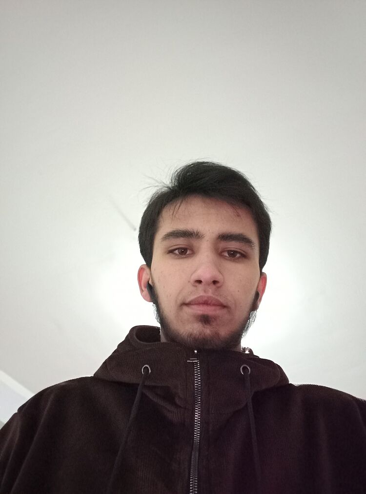  31633891  , 23 ,    