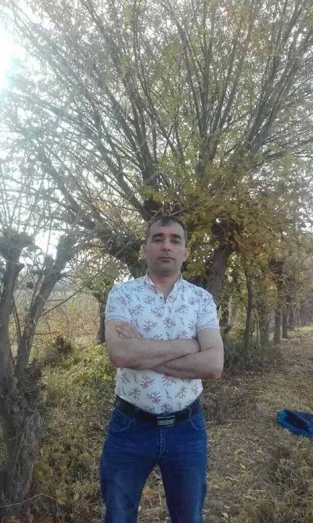  43307361  , 45 ,    
