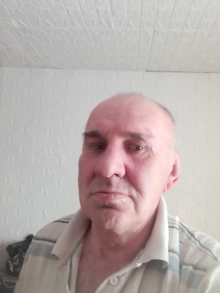  50804011  , 66 ,    