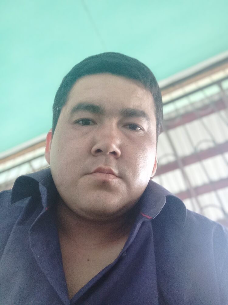 ���� 25530391 ������� ����, 29 ���, ���� ���������� � ����