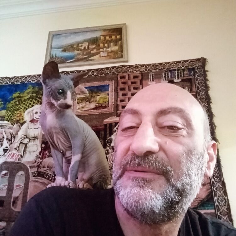  53368461  Sfinqs, 50 ,    