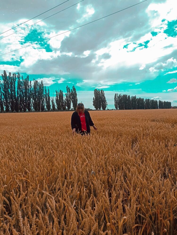 ���� 27456261 ������� ���������, 22 ����, ���� ���������� � ����������