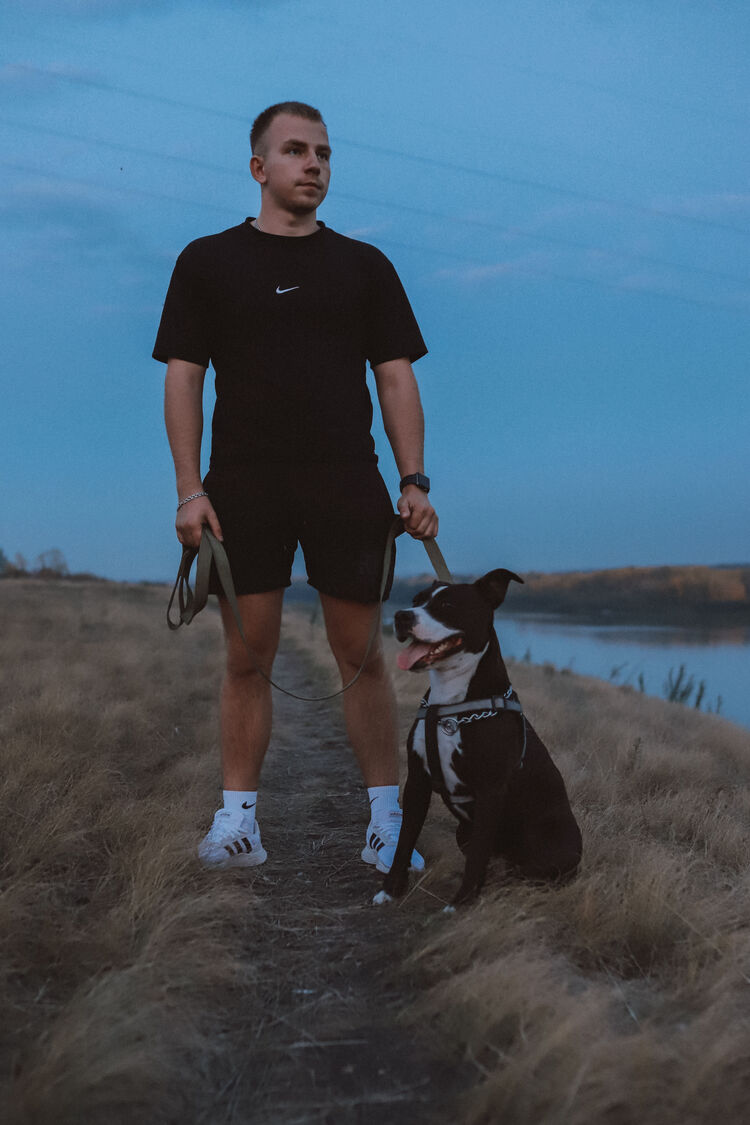 ���������� ����, ���� ������� ������, 29 ���, ������������ ��� ������, ����� � ���������, c�������� ���������